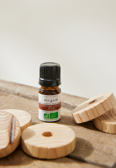 kit anti mites loom 1 main